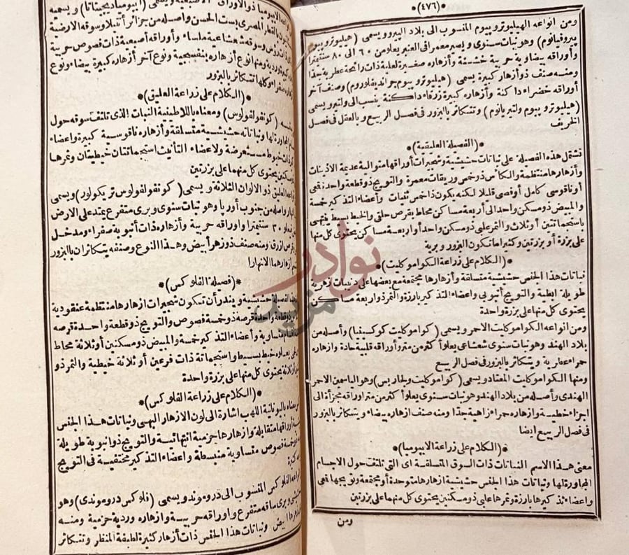 صفحة داخلية كتاب حسن الصناعة في علم الزراعة فصل الفلوكس