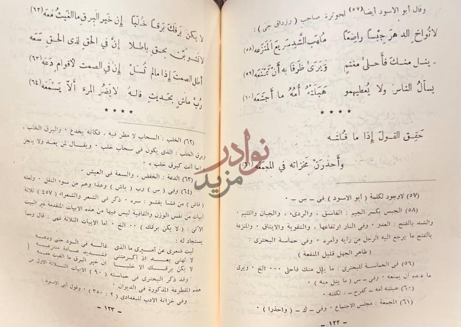 صفحة داخلية كتاب ديوان ابى الاسود الدؤلي مصور
