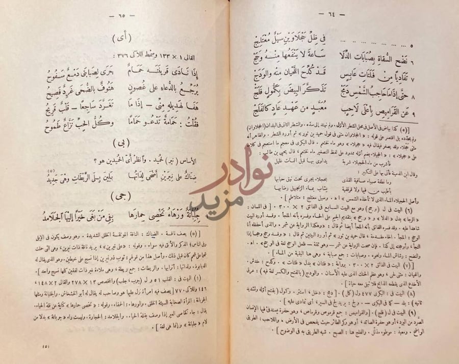 صفحة داخلية كتاب ديوان حميد بن ثور الهلالي قصيدة ج