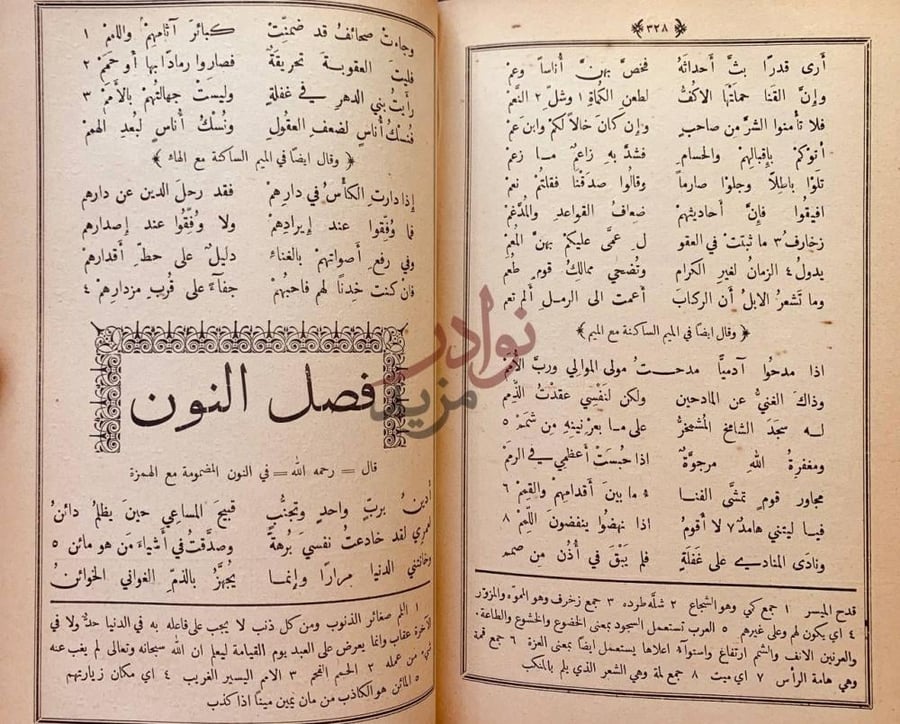 صفحة داخلية كتاب اللزوميات او لزوم ما لايلزم فصل النون