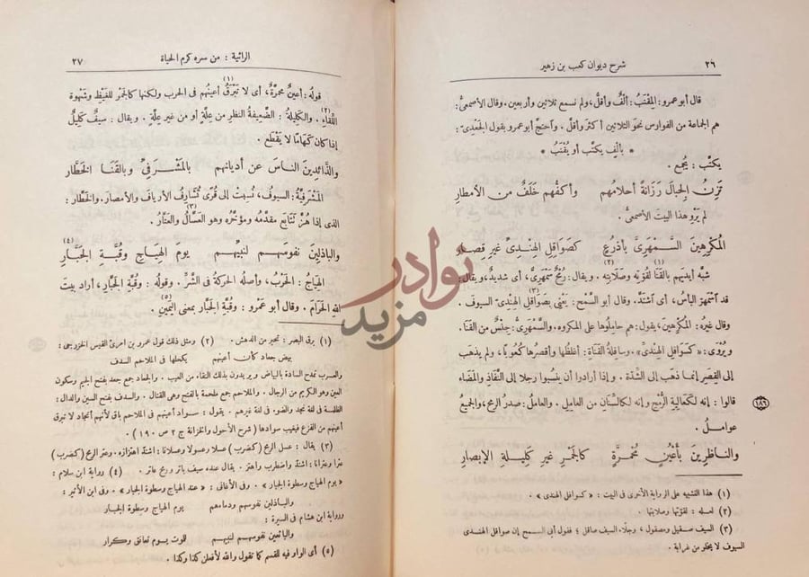 صفحة داخلية كتاب ديوان كعب بن زهير الرائية من سرن كرم