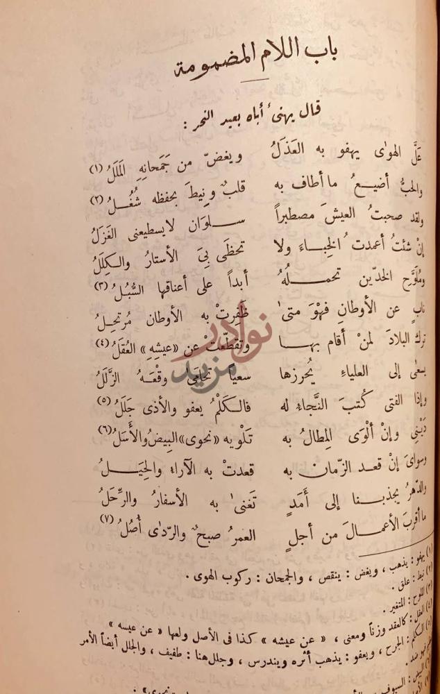 صفحة داخلية كتاب ديوان الشريف المرتضى مجلد واحد