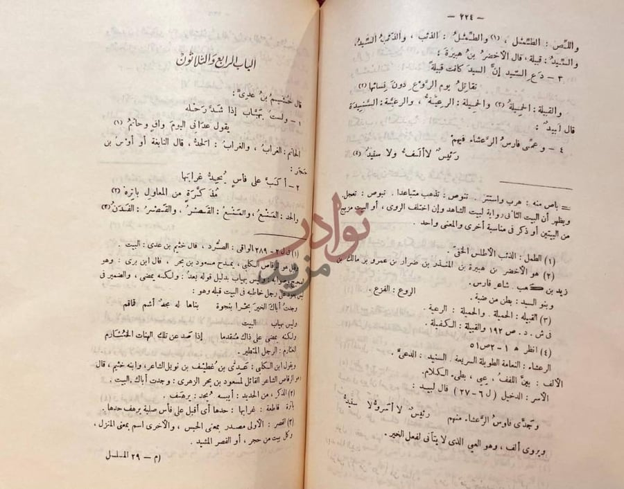 صفحة داخلية كتاب المسلسل في غريب لغة العرب الباب الرابع