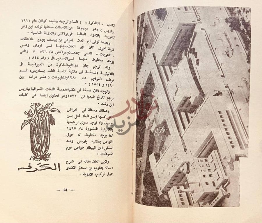 صفحة داخلية كتاب الطب والاطباء بالمغرب الكرفس