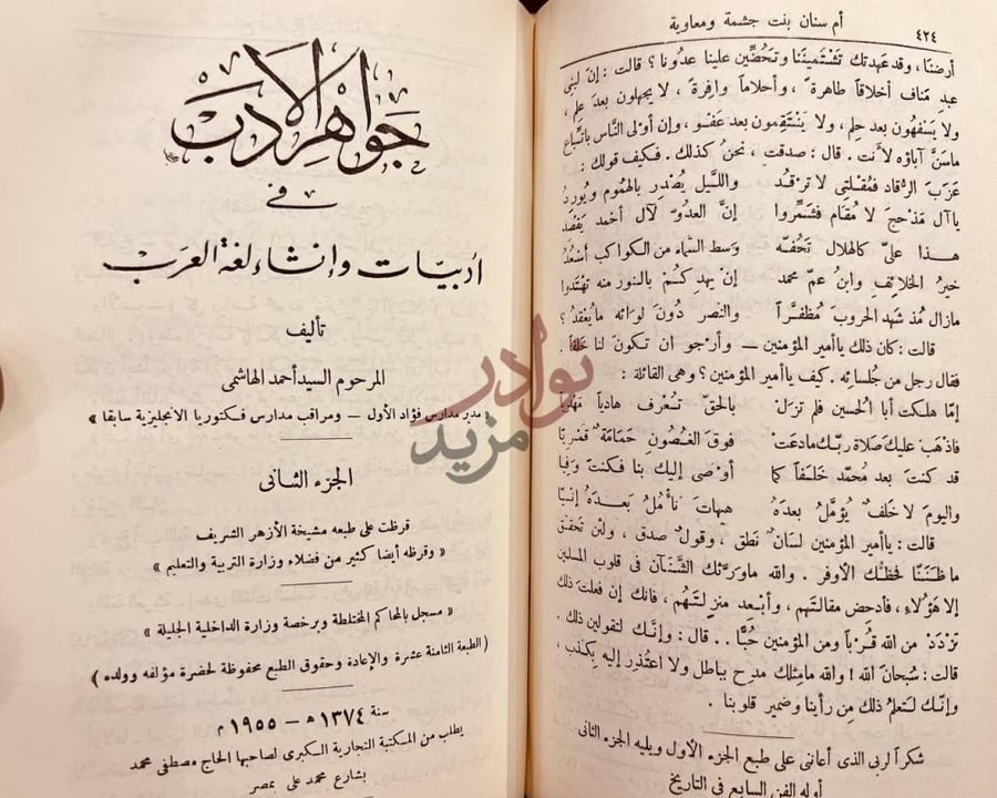 صفحة داخلية كتاب جواهر الادب في ادبيات وانشاء لغة العرب
