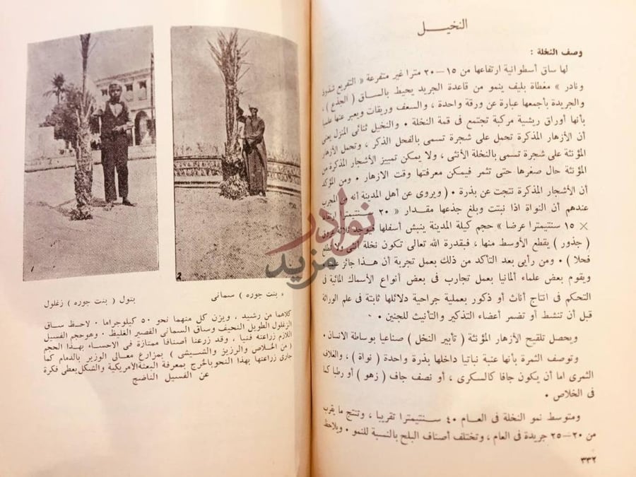 صفحة داخلية كتاب الزراعة الحديثة بالمملكة العربية السعودية