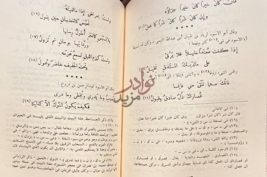 صفحة داخلية كتاب ديوان ابي الاسود الدولي