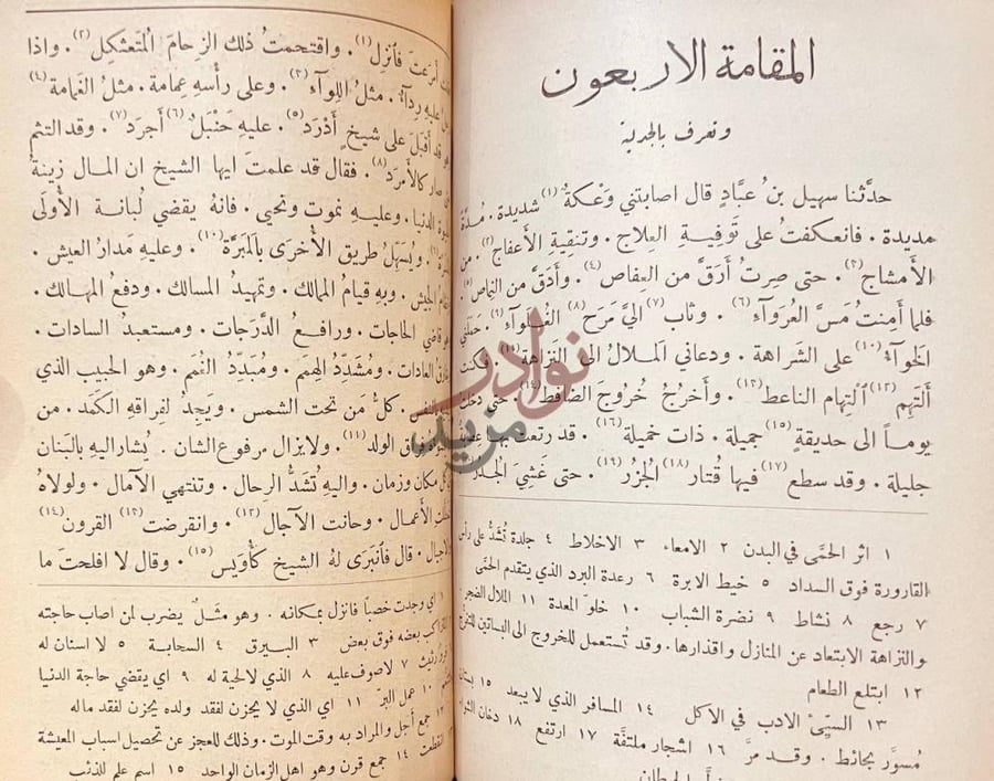 صفحة داخلية كتاب مجمع البحرين المقامة الاربعون