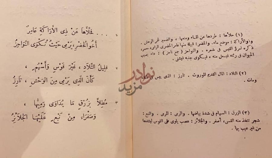 صفحة داخلية كتاب القوس العذراء أبيات شعرية مع شرح