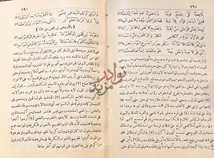 صفحة داخلية كتاب ديوان الحماسة وقال قيس بن قيس بن