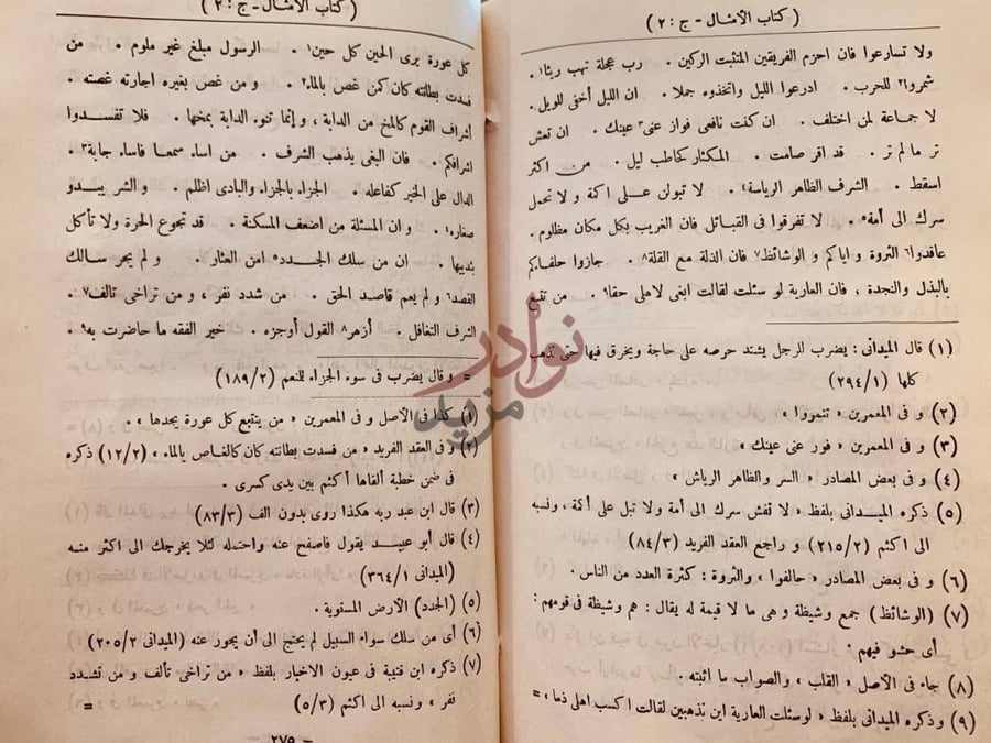 صفحة داخلية كتاب الامثال في الحديث النبوي