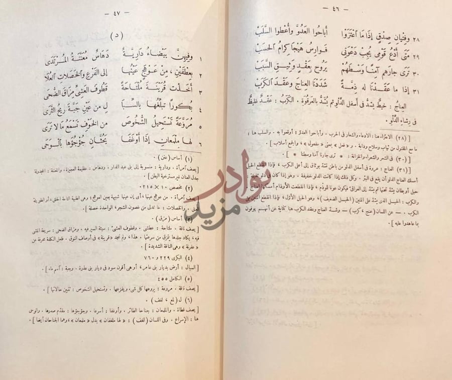 صفحة داخلية كتاب ديوان حميد بن ثور الهلالي د