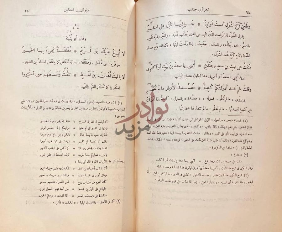 صفحة داخلية كتاب ديوان الهذليين وقال أبو بنية