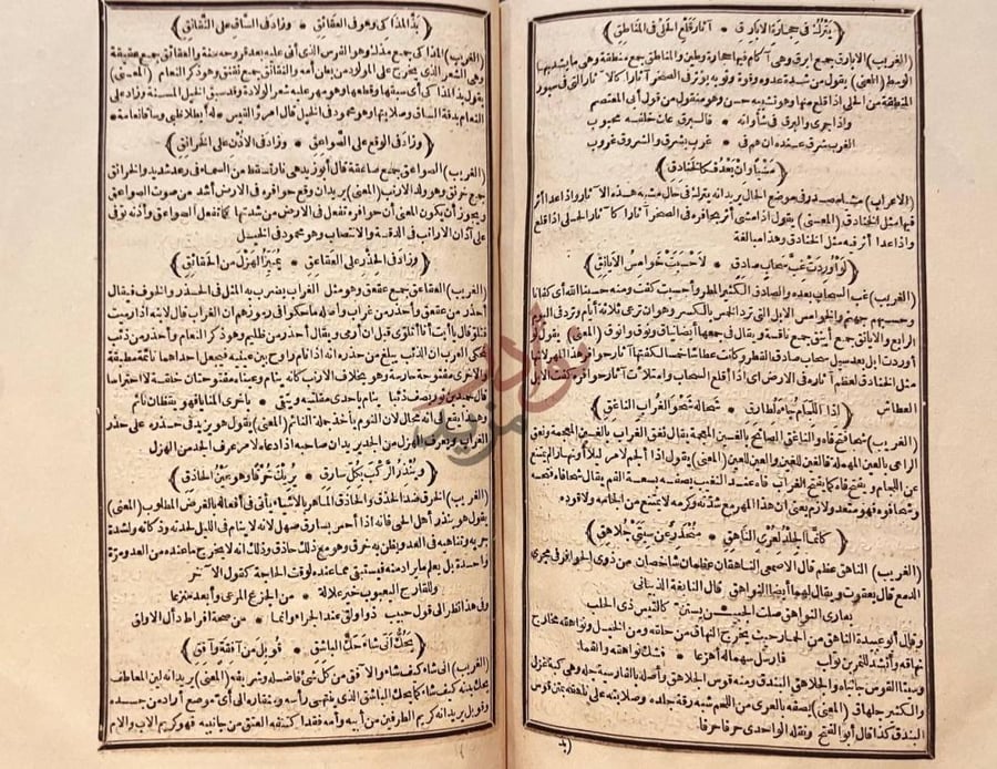 صفحة داخلية كتاب شرح التبيان على ديوان ابى الطيب
