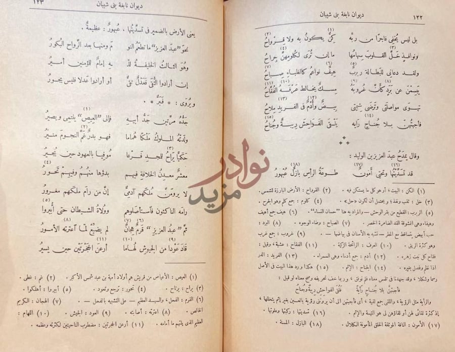 صفحة داخلية كتاب ديوان نابغة بني شيباني ديوان نابغة بن