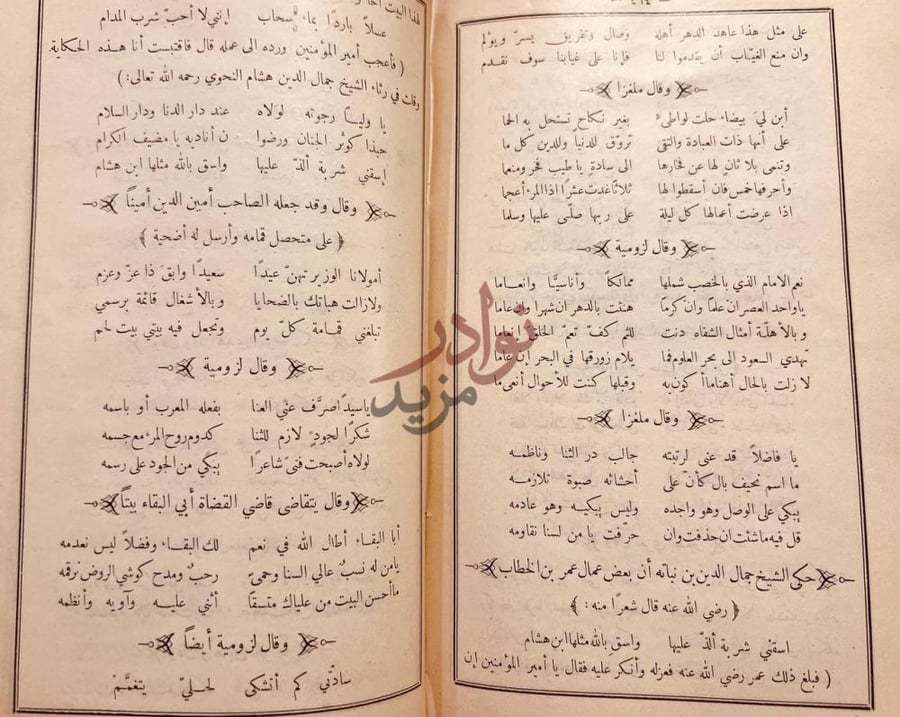 صفحة داخلية كتاب ديوان ابن نباتة المصري قصائد وألغاز
