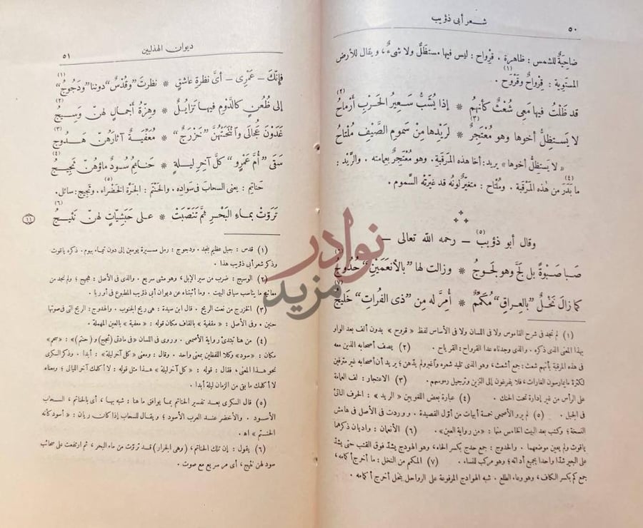 صفحة داخلية كتاب ديوان الهذليين شعر أبي ذؤيب