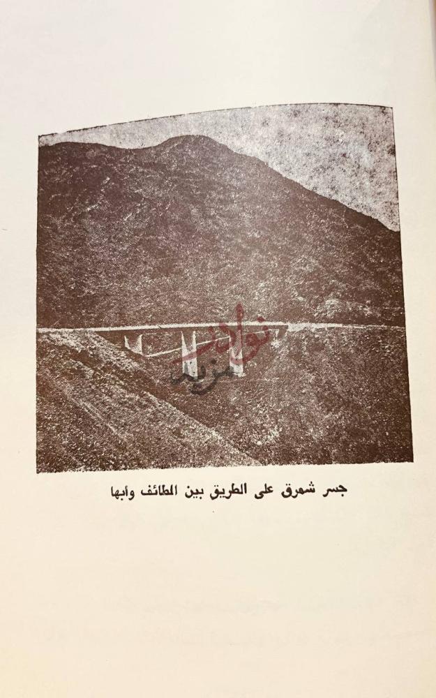 صفحة داخلية كتاب ايام في تونس