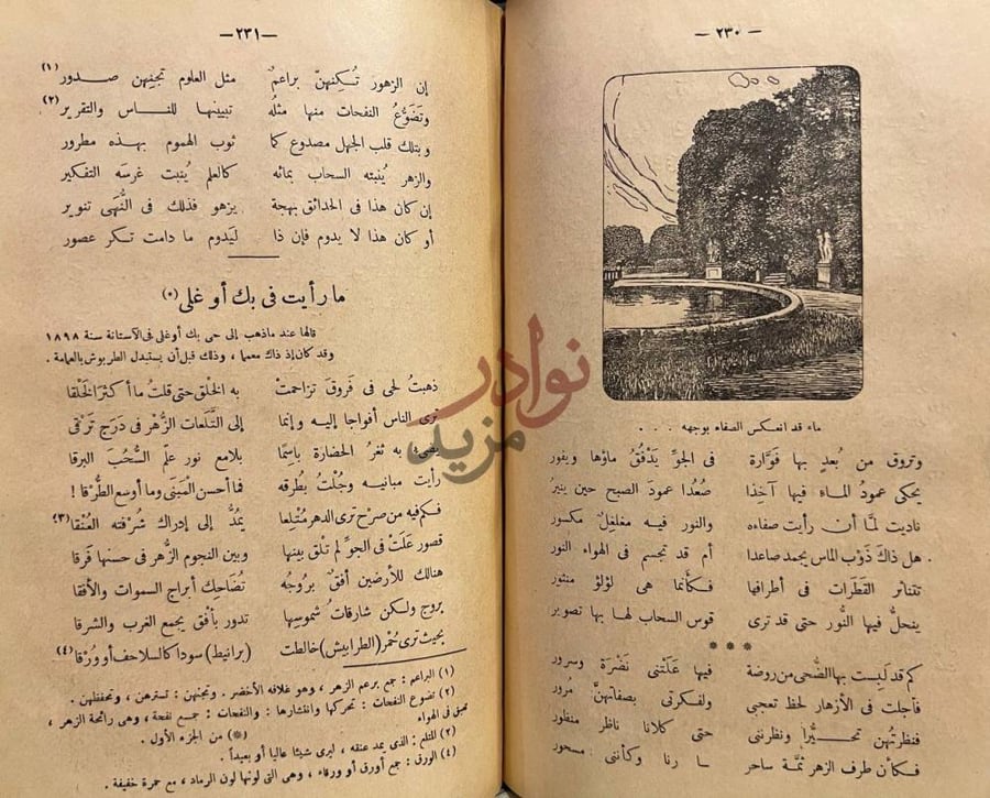 صفحة داخلية كتاب ديوان الرصافي مجلد واحد