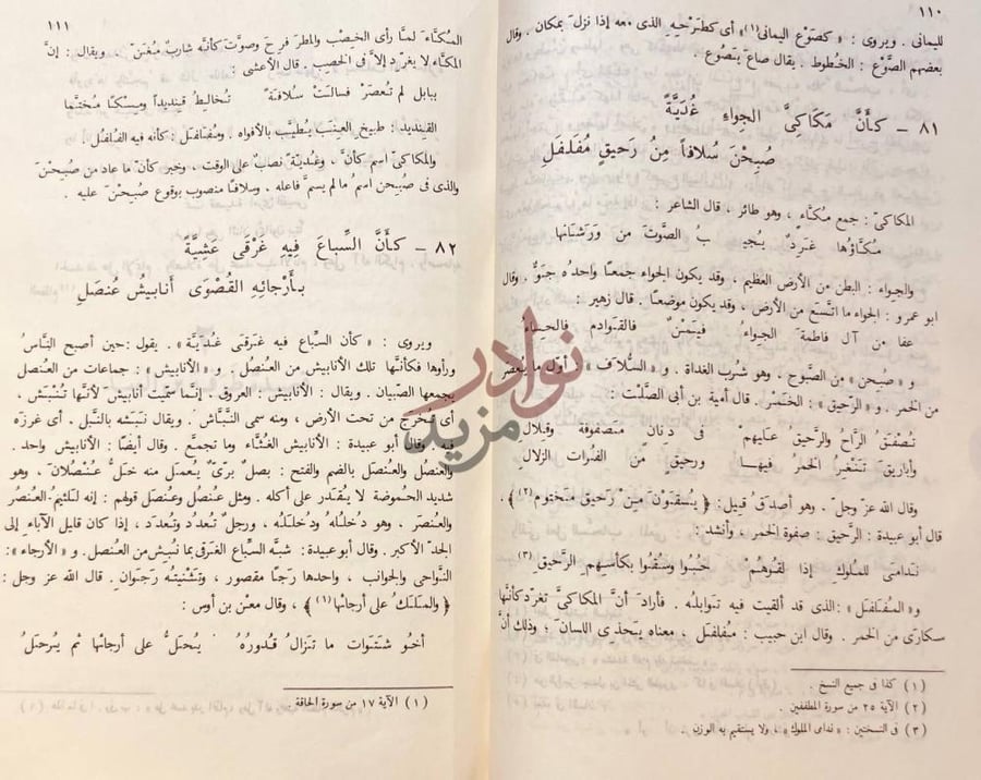 صفحة داخلية كتاب شرح القصائد السبع الطوال الجاهليات