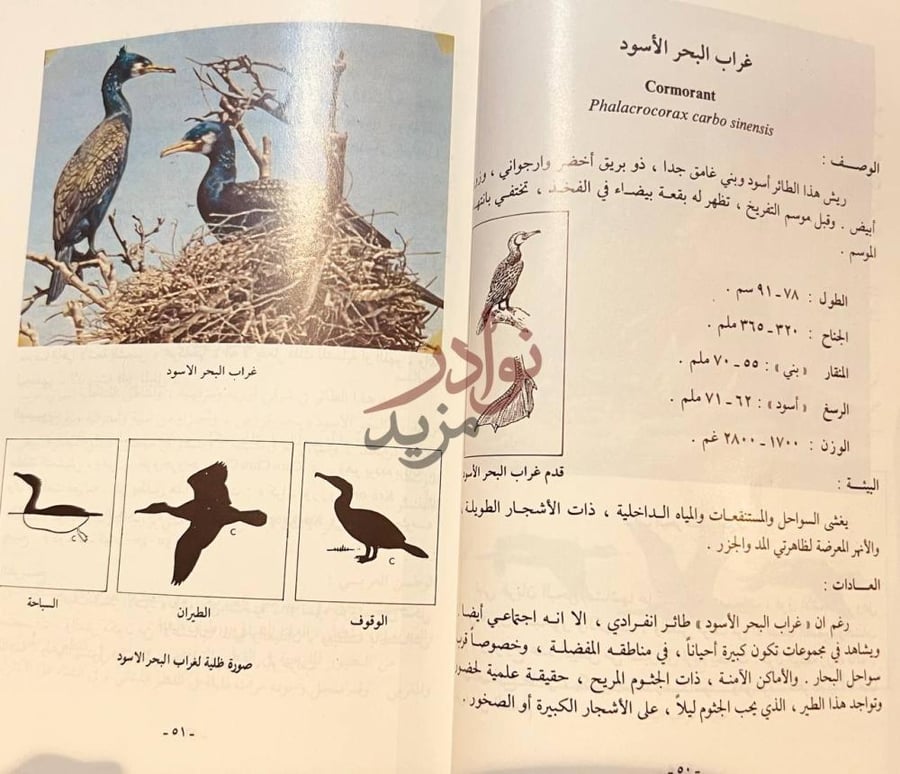 صفحة داخلية كتاب الطيور المائية في العراق والوطن العربي