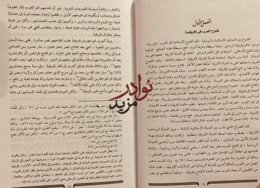 دولة الاسلام في الاندلس7/1 - محمد عنان
