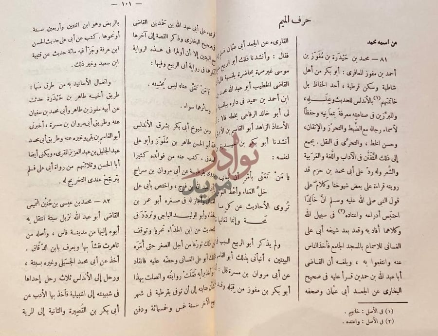 صفحة داخلية كتاب المعجم حرف الميم