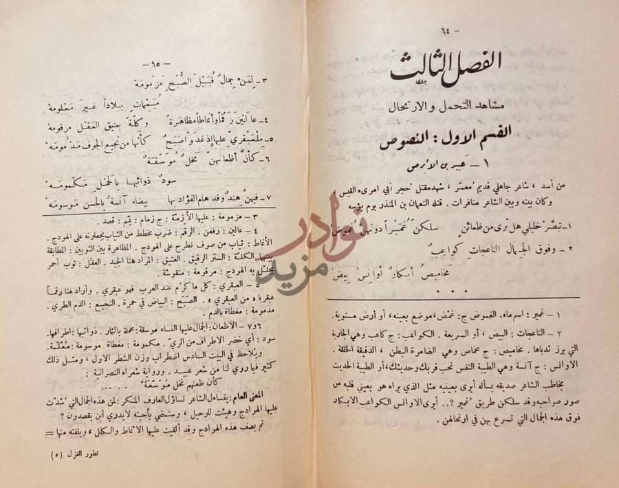 صفحة داخلية كتاب تطور الغزل بين الجاهلية والاسلام من امرئ