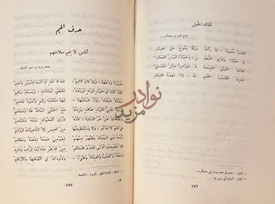 صفحة داخلية كتاب ديوان الاعشى حرف الميم