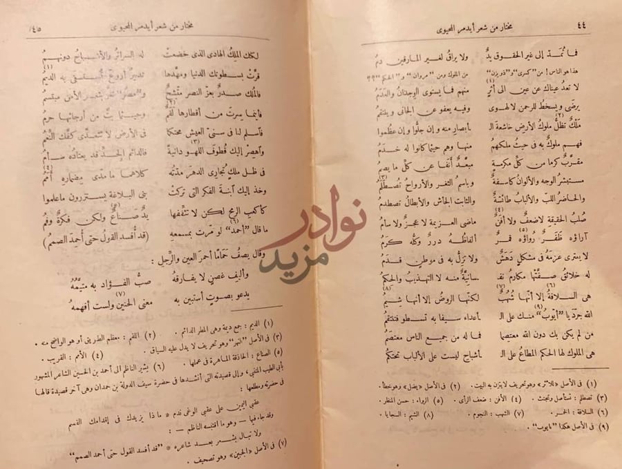 صفحة داخلية كتاب مختار ديوان علم الدين ايدمر المحيوي