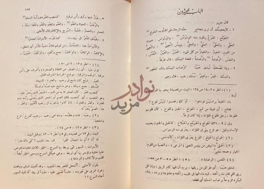 فصل كتاب المسلسل في غريب لغة العرب الباب العشرون