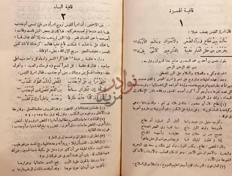 صفحة داخلية كتاب شرح ديوان امرئ القيس قافية الهمزة قافية