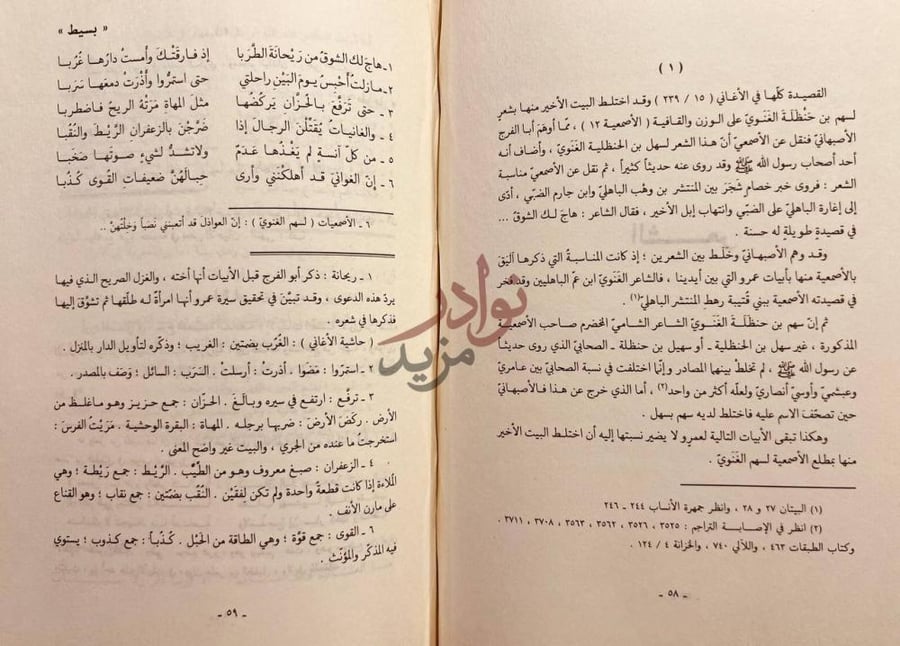 صفحة داخلية كتاب شعر عمرو بن معدي كرب الزبيدي