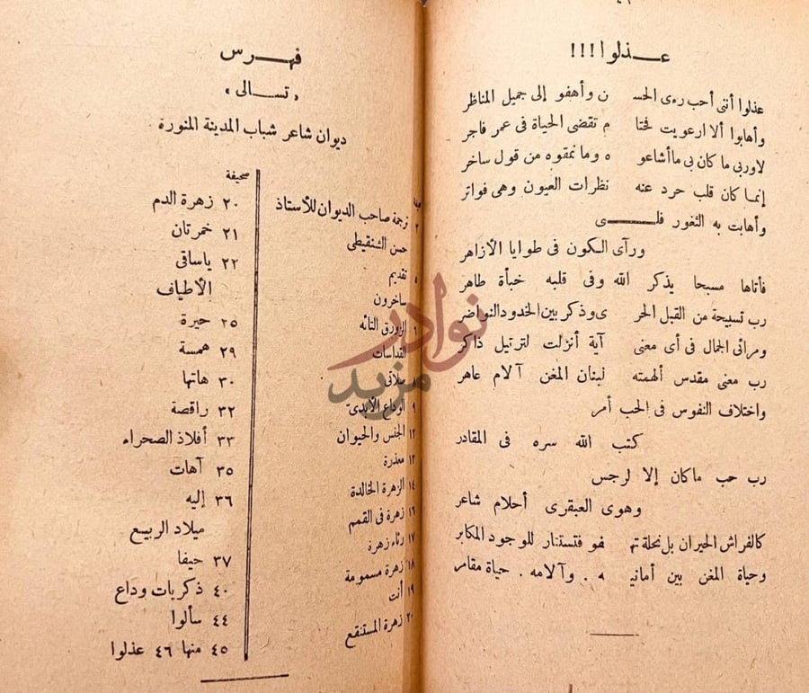 صفحة داخلية كتاب نحل عبر النحل فهرس