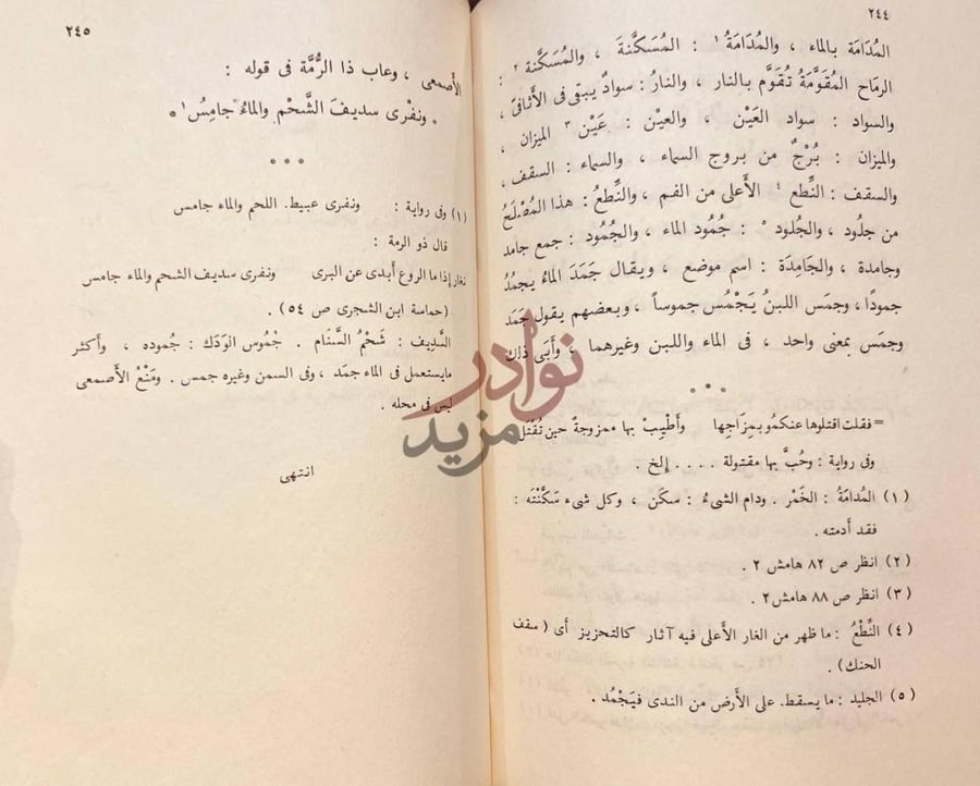 صفحة داخلية كتاب شجرة الدر في تداخل الكلام بالمعانى المختلفة