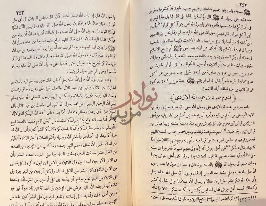 صفحة داخلية كتاب عيون الاثر في فنون المغازي والشمائل والسير