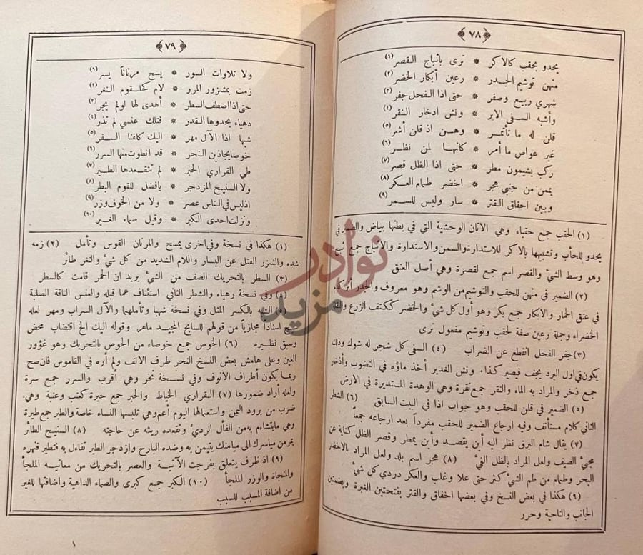صفحة داخلية كتاب ديوان ابي نواس صفحة مزدوجة تحتوي