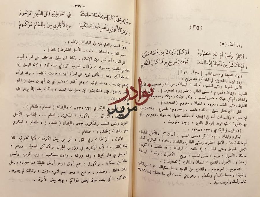 ديوان ابن مقبل /عزة حسن