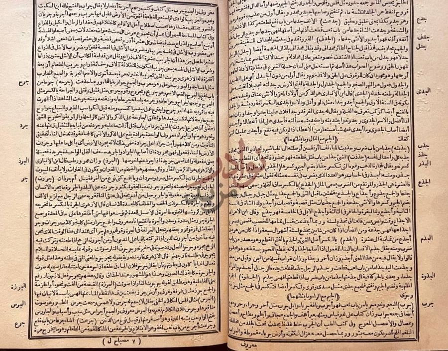 صفحة داخلية كتاب المصباح المنير في غريب الشرح الكبير