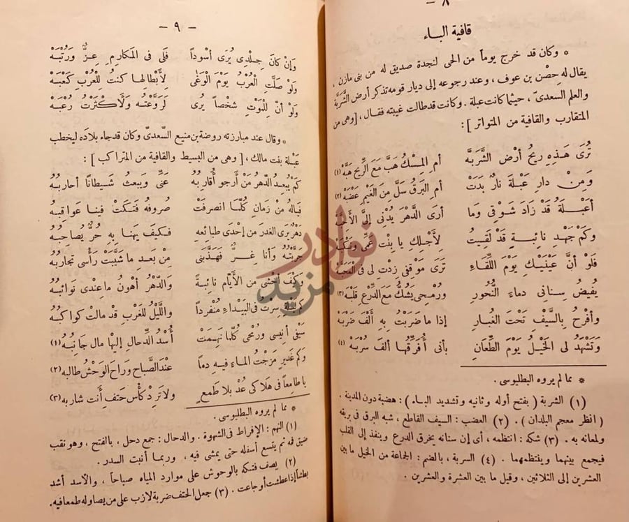صفحة داخلية كتاب شرح ديوان عنترة بن شداد قافية الباء