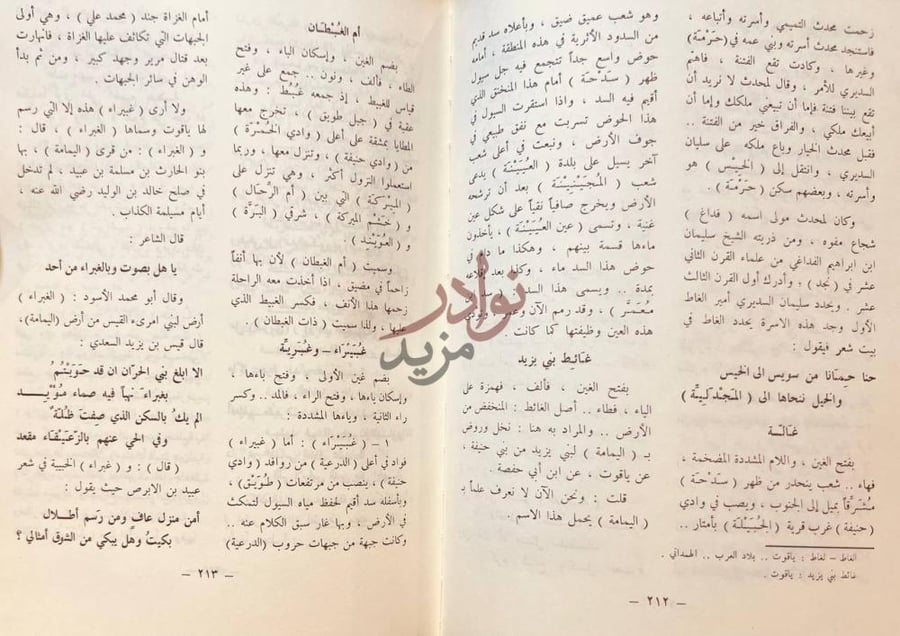 صفحة داخلية كتاب معجم اليمامة Dictionary entries