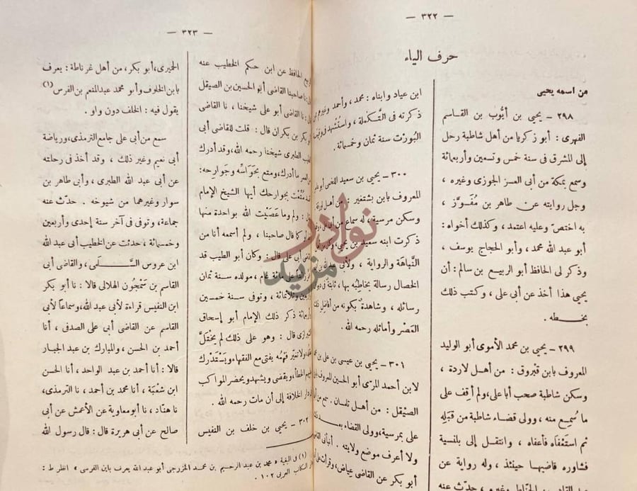 صفحة داخلية كتاب المعجم حرف الياء