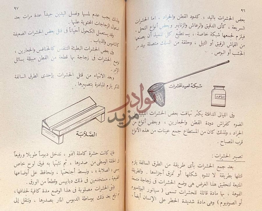 صفحة داخلية كتاب العلوم العامة تصبير الحشرات