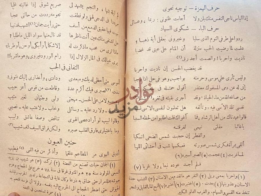صفحة داخلية كتاب ديوان ابن سهل الاسرائيلي