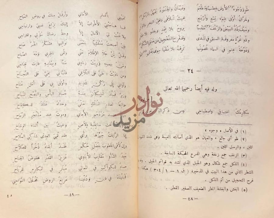 صفحة داخلية كتاب ديوان ابن دراج القسطلي