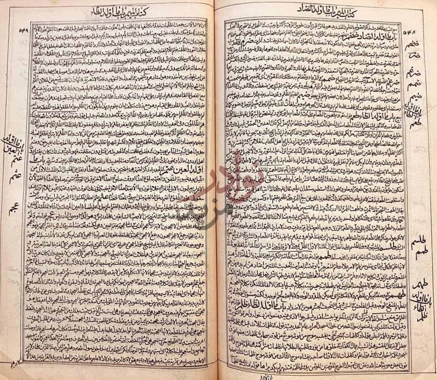 صفحة داخلية كتاب مجمع البحرين باب إبطال العتق