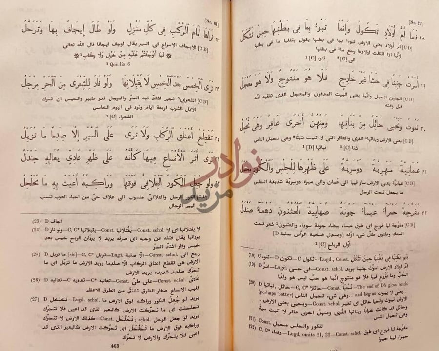 صفحة داخلية كتاب ديوان شعر ذي الرمة غيلان بن عقبة العدوي