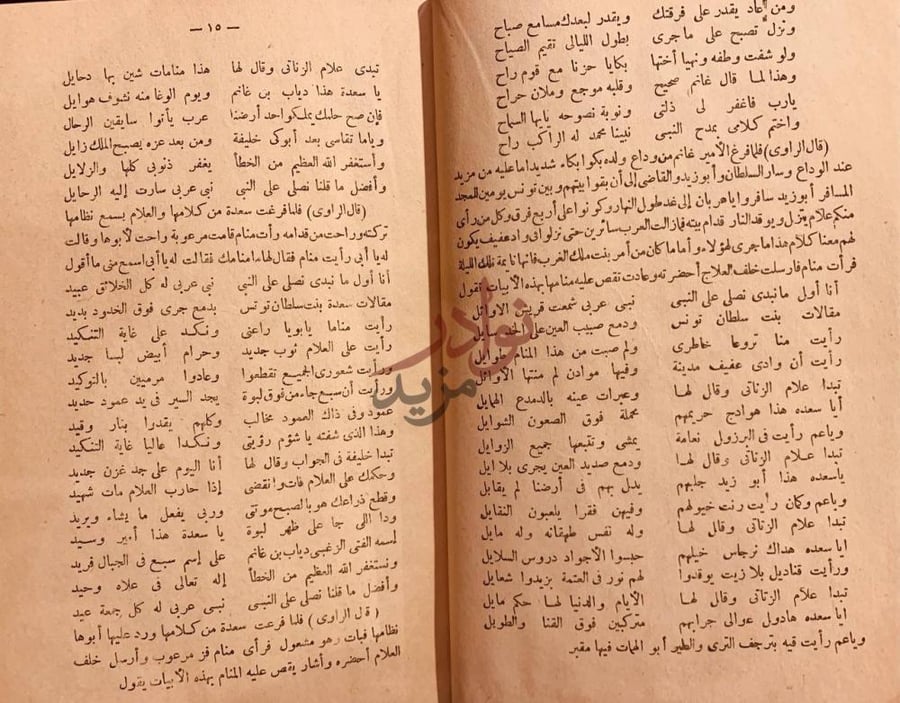 صفحة داخلية كتاب سيرة العرب الحجازية المشتملة على الالفاظ