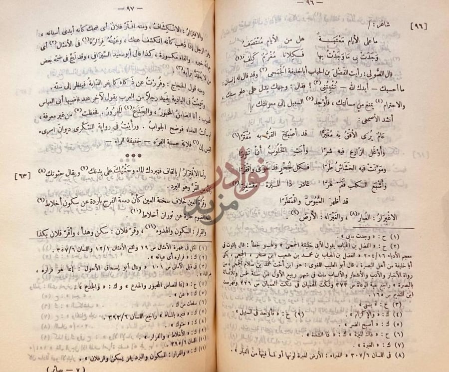 صفحة داخلية كتاب البصائر والذخائر صفحتان متقابلتان