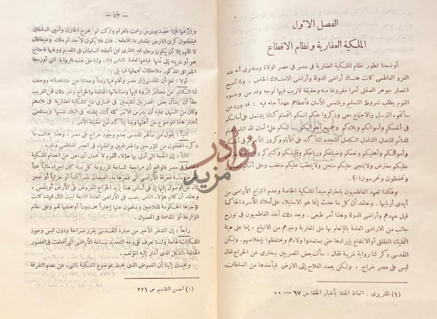 فصل كتاب حالة مصر الاقتصادية في عهد الفاطميين